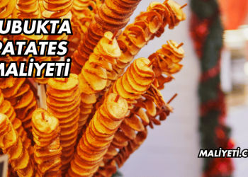 Çubukta Patates Maliyeti