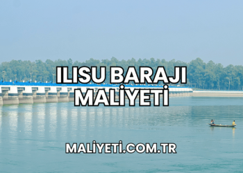 Ilısu Barajı Maliyeti
