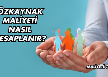 Özkaynak Maliyeti Nasıl Hesaplanır?