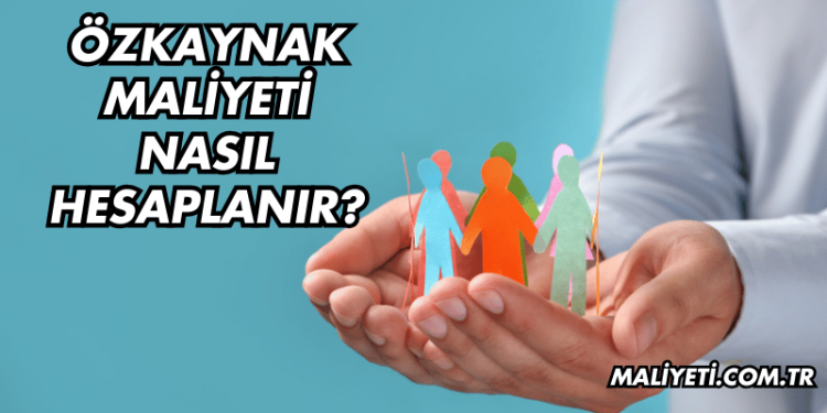 Özkaynak Maliyeti Nasıl Hesaplanır?