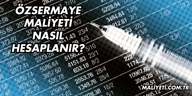 Özsermaye Maliyeti Nasıl Hesaplanır?