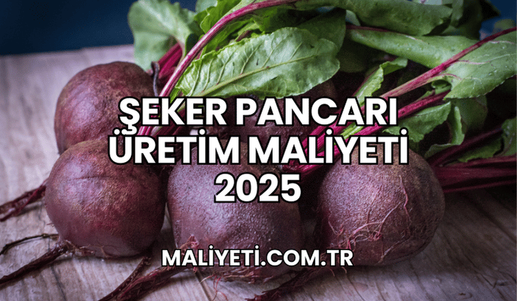 Şeker Pancarı Üretim Maliyeti 2025