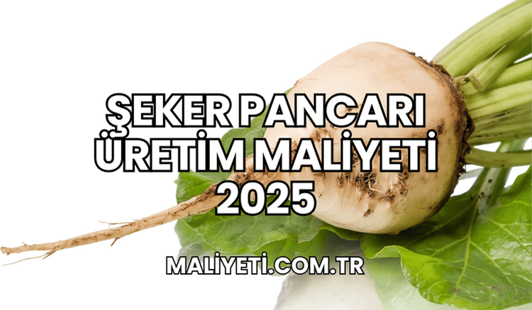 Şeker Pancarı Üretim Maliyeti 2025