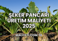 Şeker Pancarı Üretim Maliyeti 2025