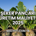 Şeker Pancarı Üretim Maliyeti 2025