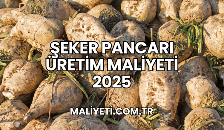 Şeker Pancarı Üretim Maliyeti 2025