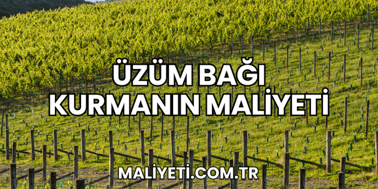 Üzüm Bağı Kurmanın Maliyeti