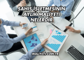 Şahıs İşletmesinin Aylık Maliyeti Nelerdir?