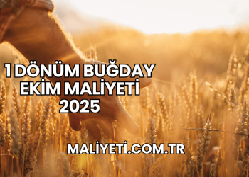 1 Dönüm Buğday Ekim Maliyeti 2025