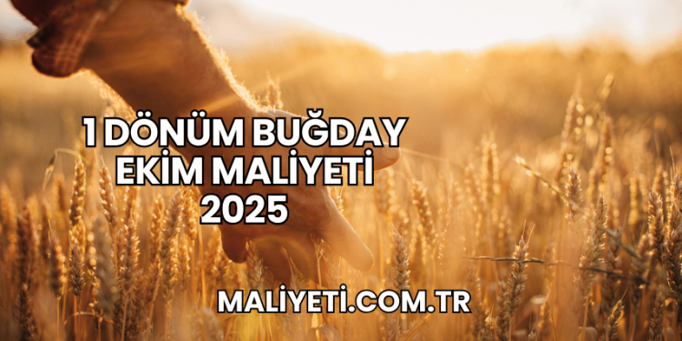 1 Dönüm Buğday Ekim Maliyeti 2025
