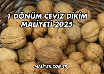 1 Dönüm Ceviz Dikim Maliyeti 2025