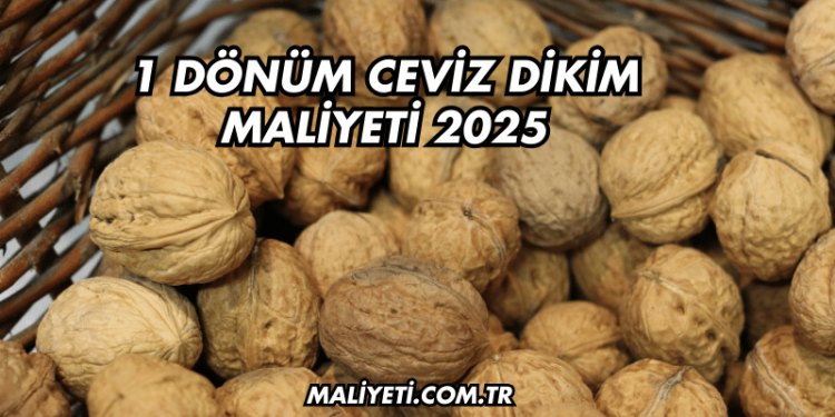 1 Dönüm Ceviz Dikim Maliyeti 2025