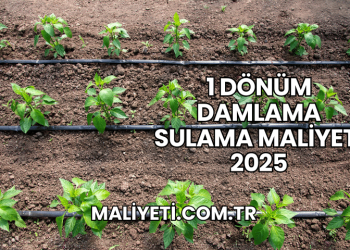 1 Dönüm Damlama Sulama Maliyeti 2025