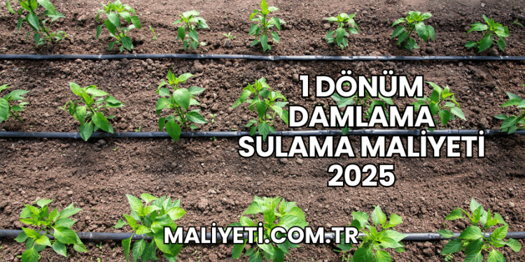 1 Dönüm Damlama Sulama Maliyeti 2025