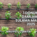 1 Dönüm Damlama Sulama Maliyeti 2025