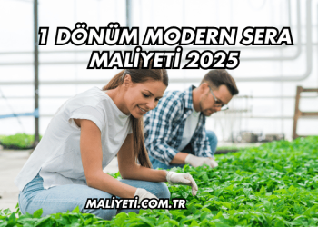1 Dönüm Modern Sera Maliyeti 2025