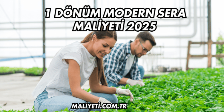 1 Dönüm Modern Sera Maliyeti 2025