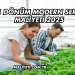 1 Dönüm Modern Sera Maliyeti 2025