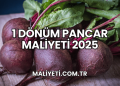 1 Dönüm Pancar Maliyeti 2025