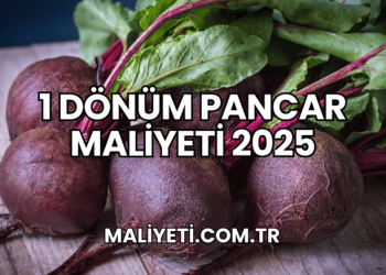 1 Dönüm Pancar Maliyeti 2025