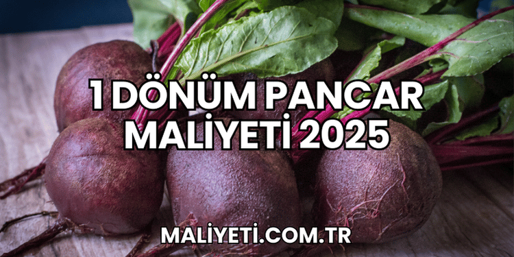 1 Dönüm Pancar Maliyeti 2025