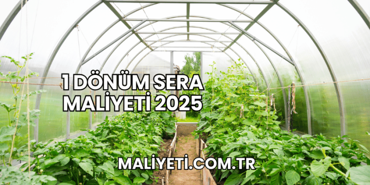 1 Dönüm Sera Maliyeti 2025