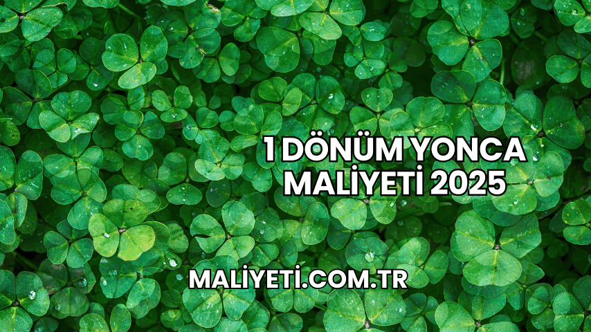 1 Dönüm Yonca Maliyeti 2025