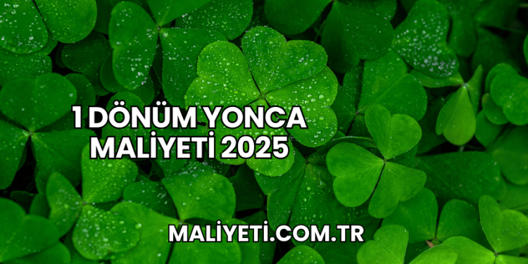 1 Dönüm Yonca Maliyeti 2025
