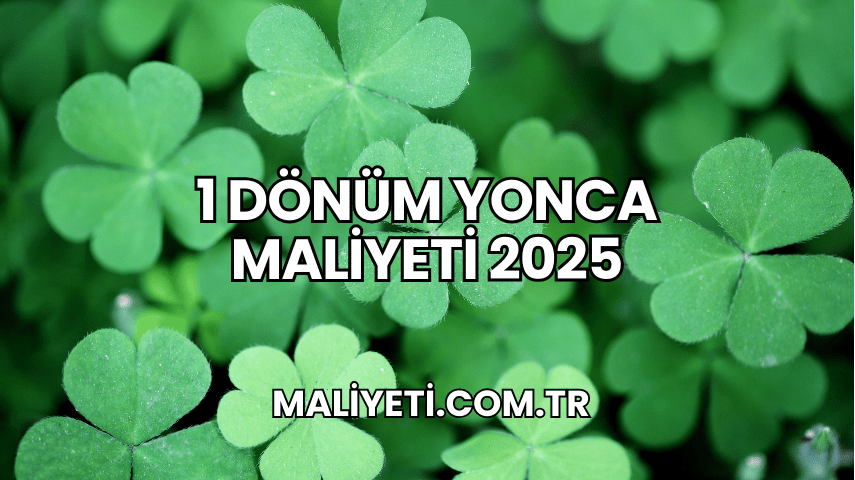 1 Dönüm Yonca Maliyeti 2025