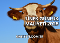 1 İnek Günlük Maliyeti 2025