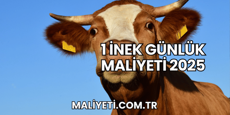 1 İnek Günlük Maliyeti 2025