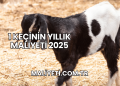 1 Keçinin Yıllık Maliyeti 2025