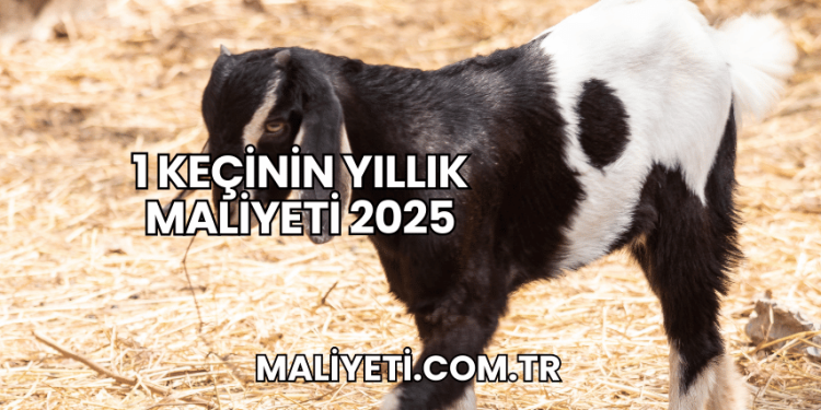1 Keçinin Yıllık Maliyeti 2025