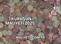 1 Kuruşun Maliyeti 2025