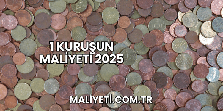 1 Kuruşun Maliyeti 2025