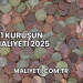 1 Kuruşun Maliyeti 2025