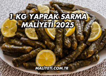 1 kg Yaprak Sarma Maliyeti 2025