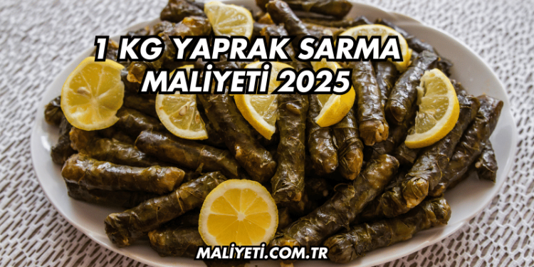 1 kg Yaprak Sarma Maliyeti 2025