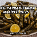 1 kg Yaprak Sarma Maliyeti 2025