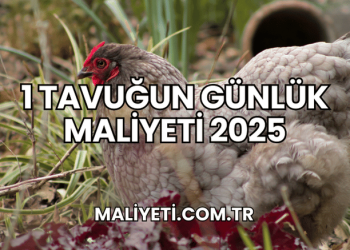 1 tavuğun günlük maliyeti 2025