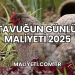 1 tavuğun günlük maliyeti 2025