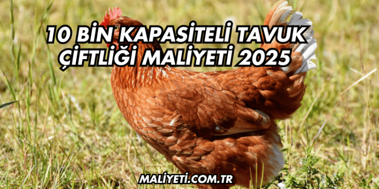 10 Bin Kapasiteli Tavuk Çiftliği Maliyeti 2025