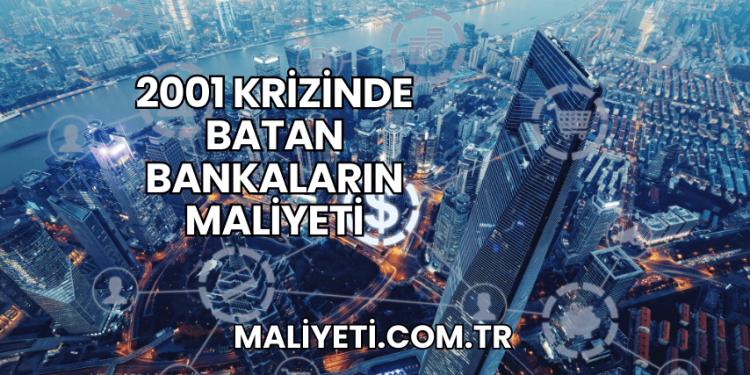 2001 Krizinde Batan Bankaların Maliyeti