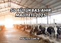 Çeki Demiri Ruhsata İşletme Maliyeti 2025
