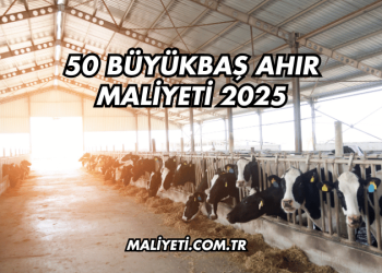 Çeki Demiri Ruhsata İşletme Maliyeti 2025