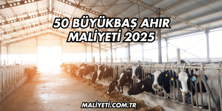 Çeki Demiri Ruhsata İşletme Maliyeti 2025