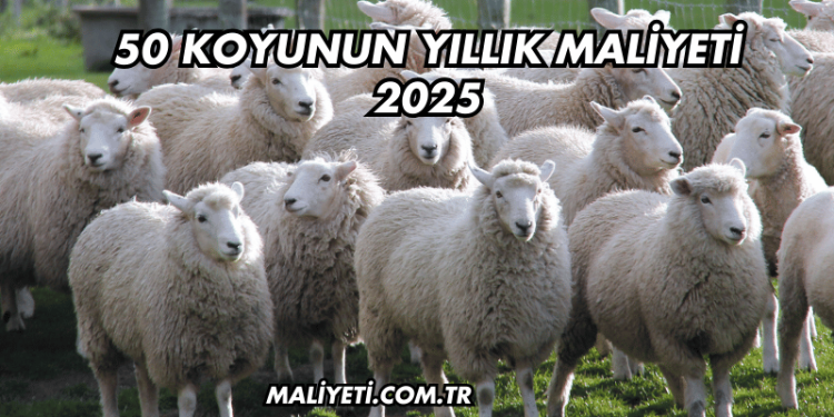 50 Koyunun Yıllık Maliyeti 2025
