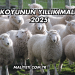 50 Koyunun Yıllık Maliyeti 2025