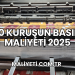 50 kuruşun basım maliyeti 2025