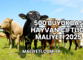 500 Büyükbaş Hayvan Çiftliği Maliyeti 2025